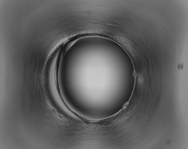 X0000090600676200707311202