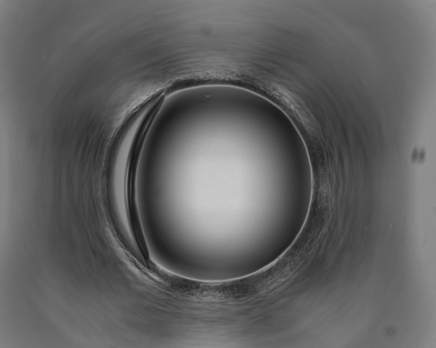 X0000090600677200707311202