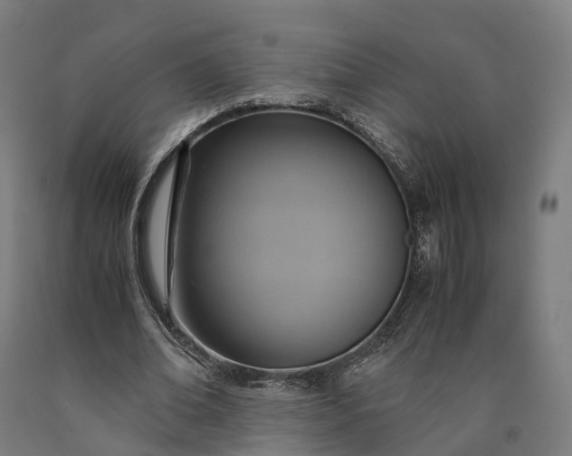 X0000090600678200707311202