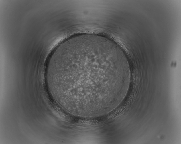 X0000090600679200707311202