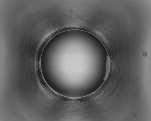 X0000090600680200707311202