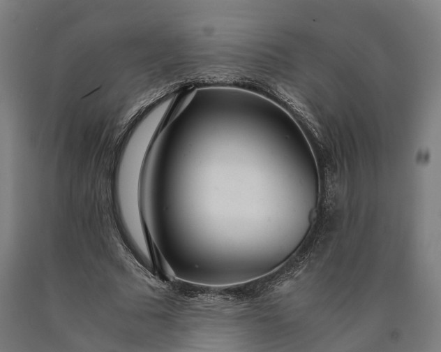 X0000090600681200707311202