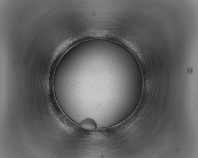 X0000090600682200707311202