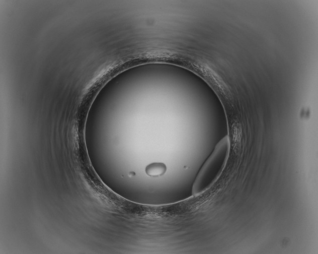 X0000090600684200707311202