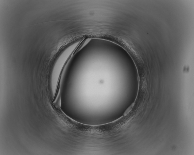 X0000090600685200707311202