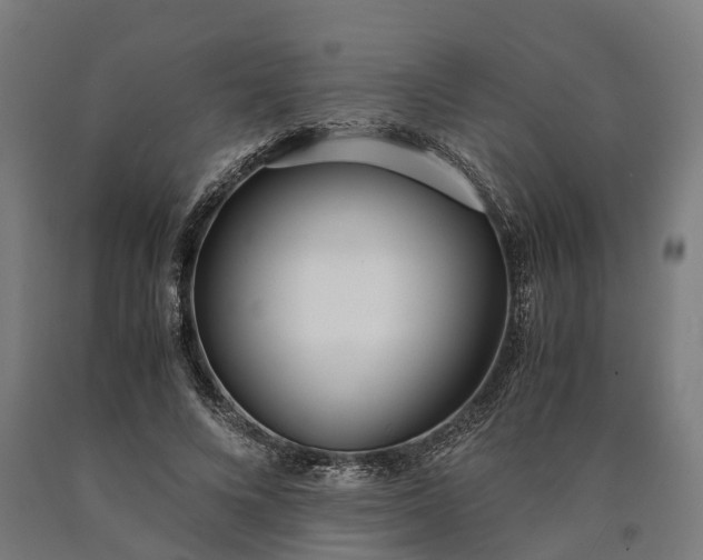 X0000090600688200707311202