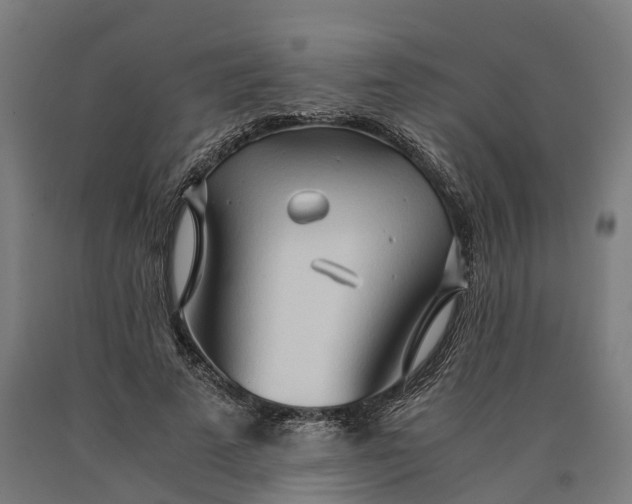 X0000090600689200707311202