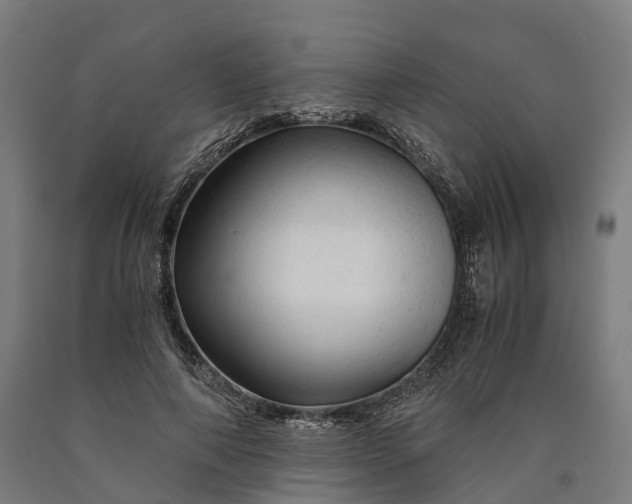 X0000090600690200707311202