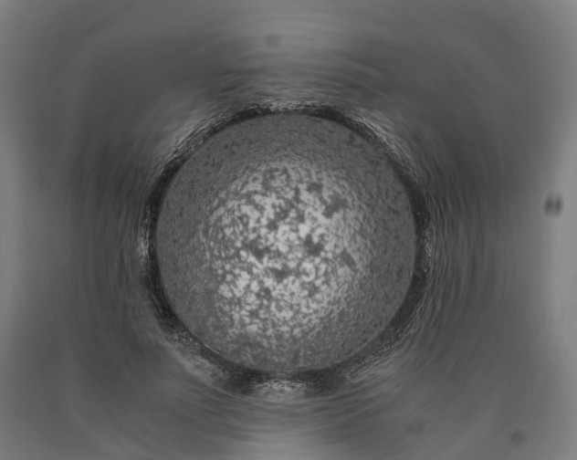 X0000090600691200707311202