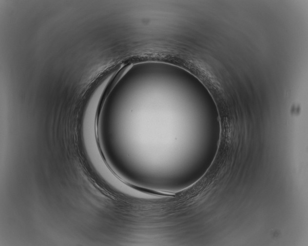 X0000090600692200707311202