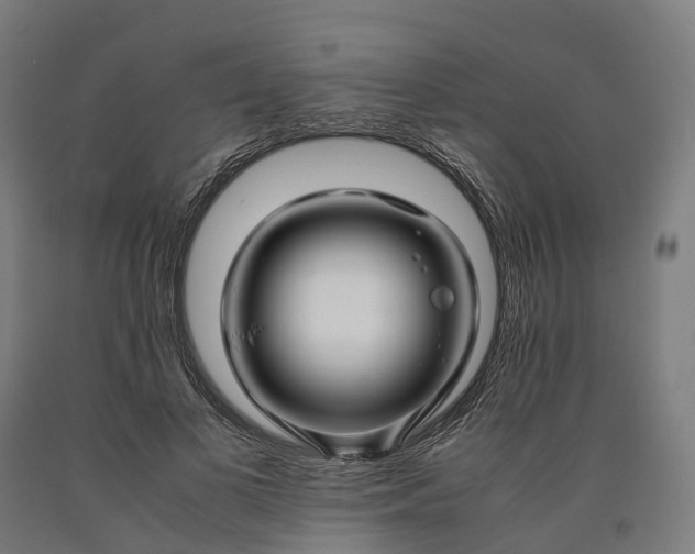 X0000090600693200707311202