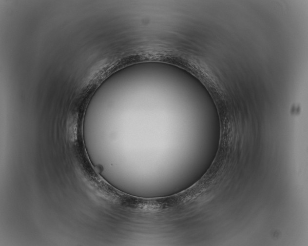 X0000090600694200707311202