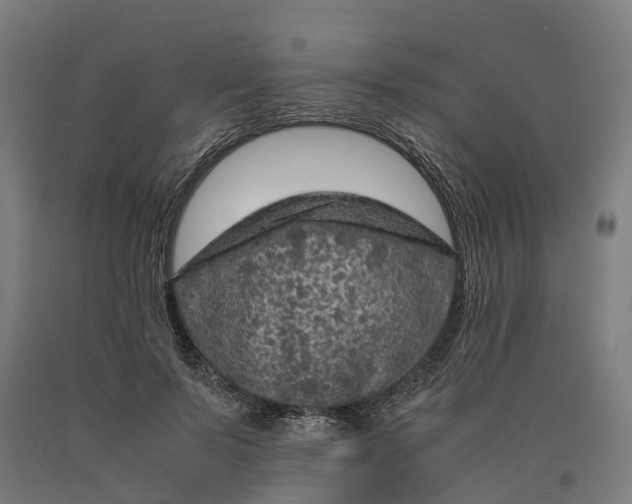 X0000090600695200707311202