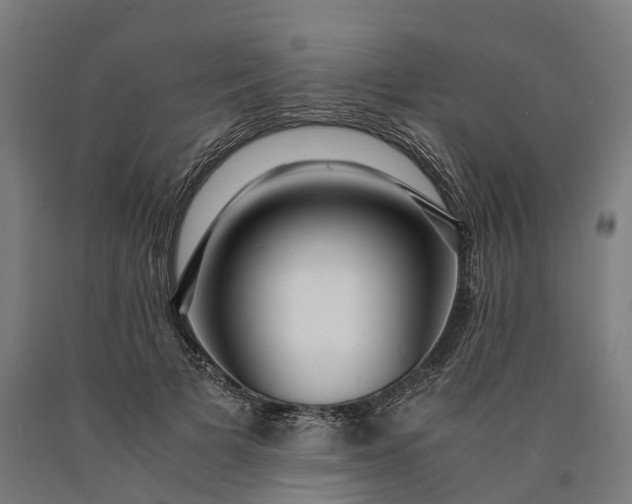 X0000090600697200707311202