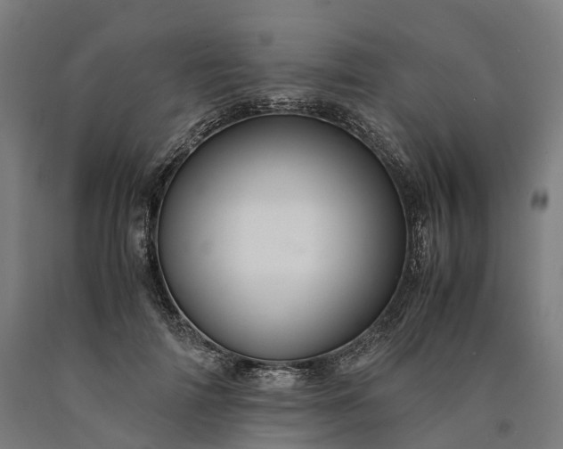 X0000090600698200707311202