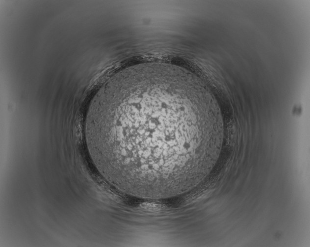 X0000090600699200707311202