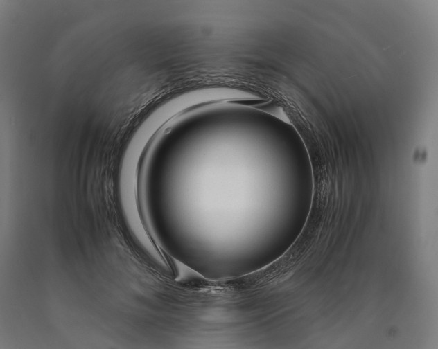 X0000090600700200707311202