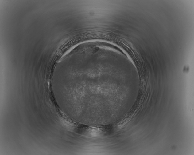 X0000090600701200707311202