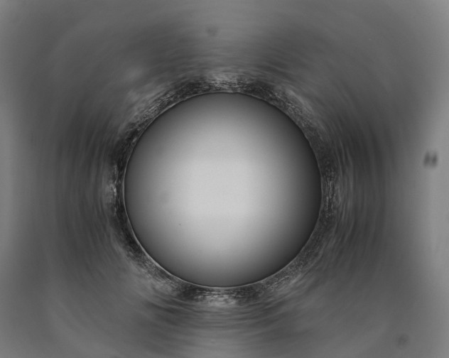 X0000090600702200707311202