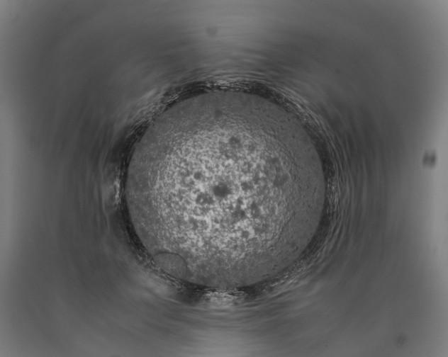 X0000090600703200707311201