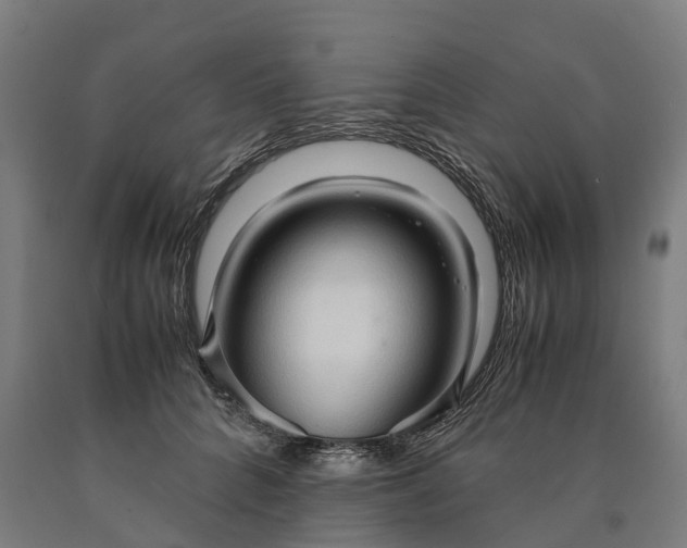 X0000090600704200707311201