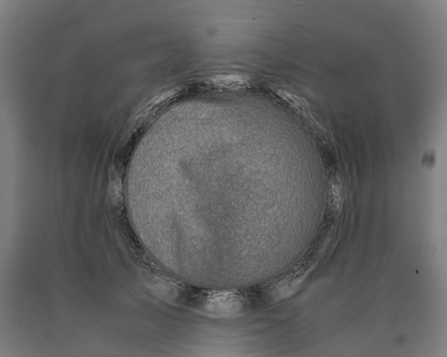 X0000090600705200707311201