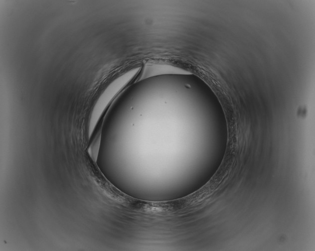 X0000090600706200707311201