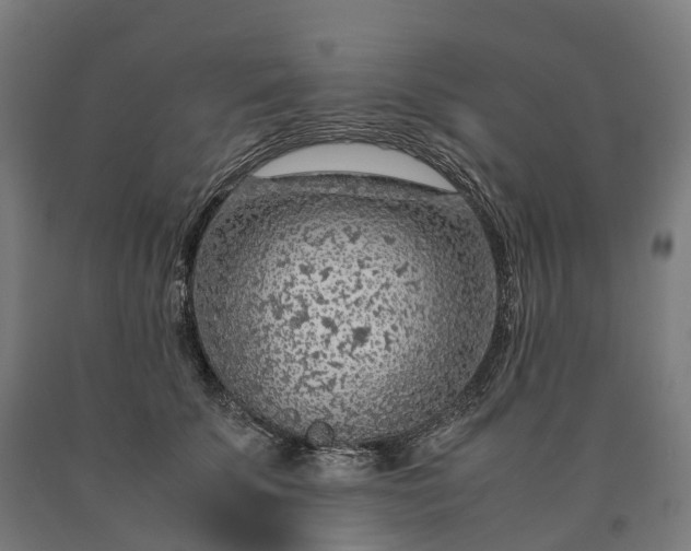 X0000090600707200707311201