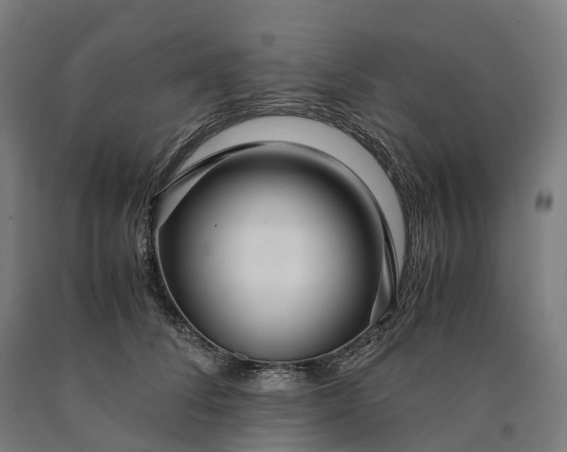 X0000090600708200707311201