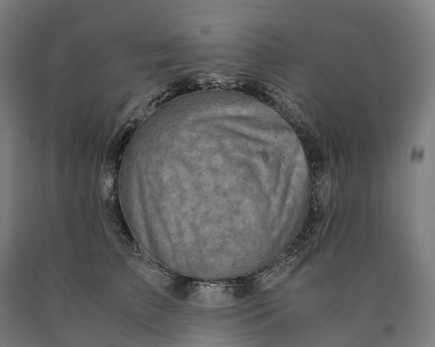 X0000090600709200707311201