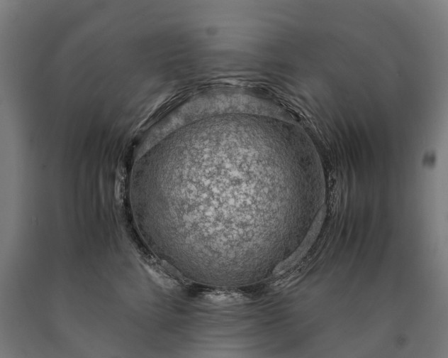 X0000090600712200707311201