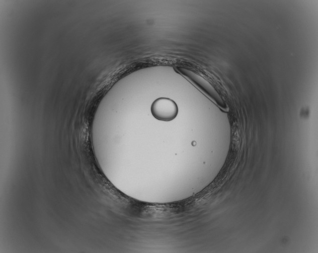 X0000090600713200707311201