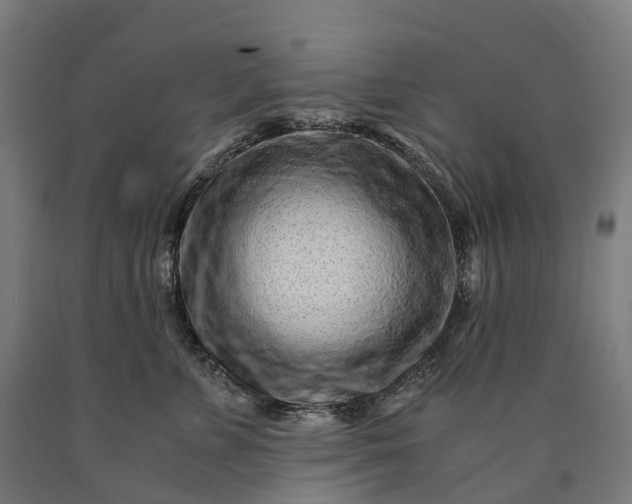 X0000090600715200707311201