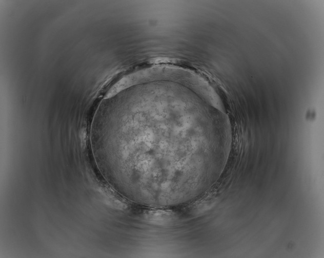 X0000090600716200707311201