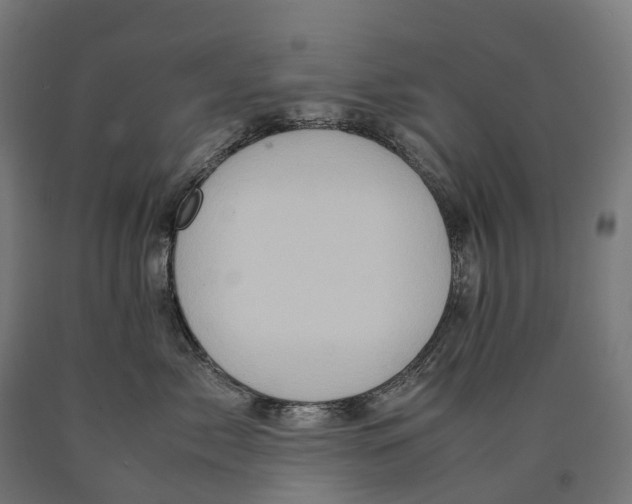 X0000090600717200707311201