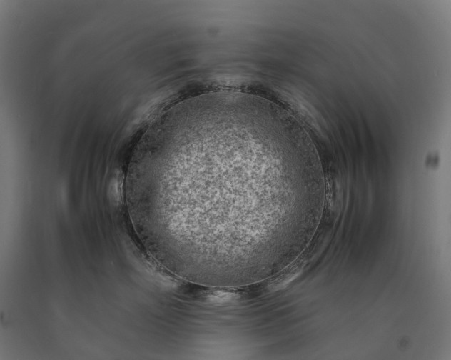 X0000090600718200707311201