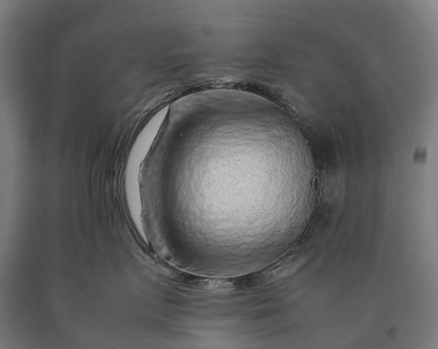 X0000090600719200707311201