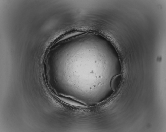 X0000090600721200707311201