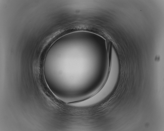 X0000090600722200707311201