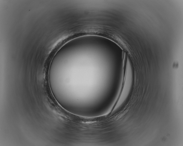 X0000090600723200707311201