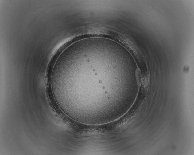 X0000090600724200707311201