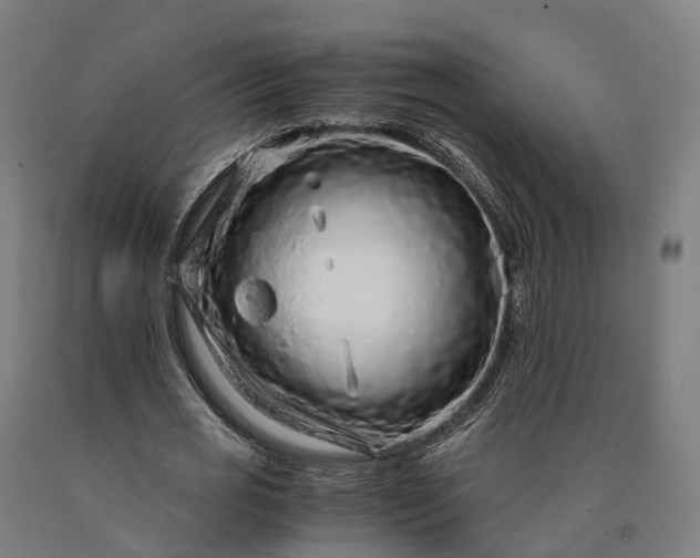 X0000090600725200707311201