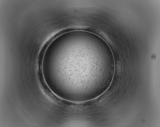 X0000090600726200707311201