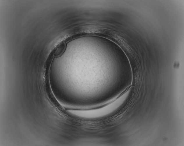 X0000090600727200707311201