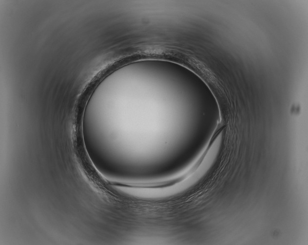 X0000090600728200707311201