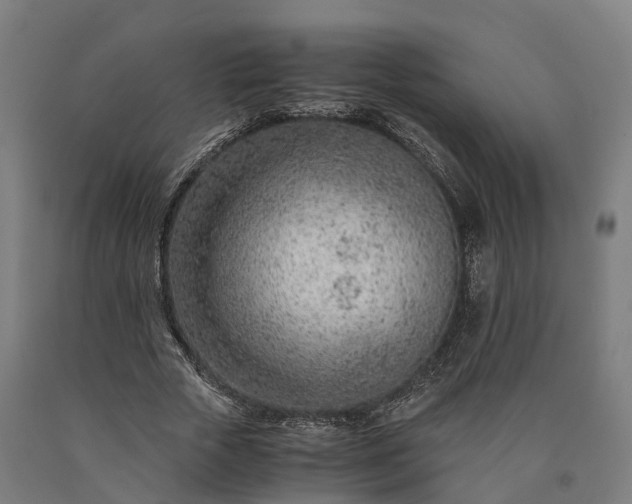 X0000090600729200707311201