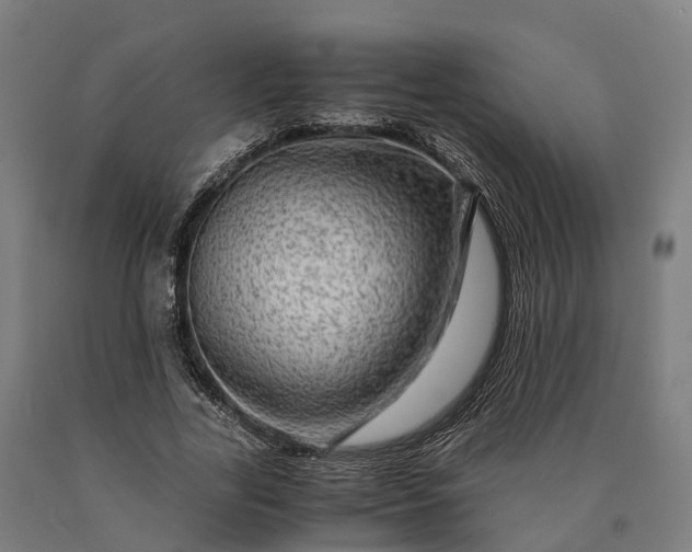 X0000090600731200707311201