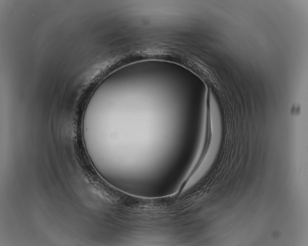 X0000090600732200707311201