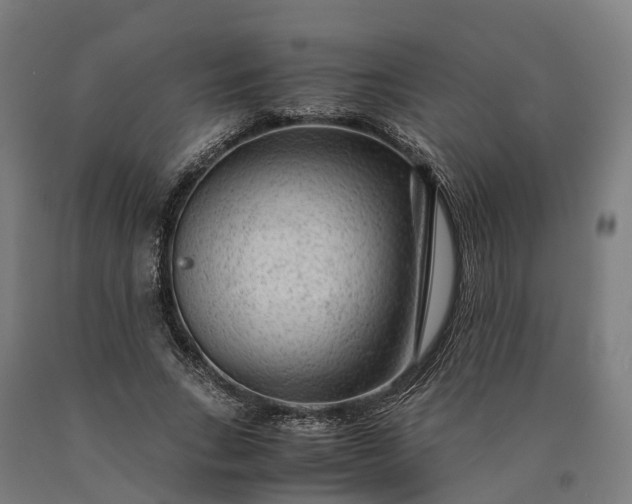 X0000090600735200707311201