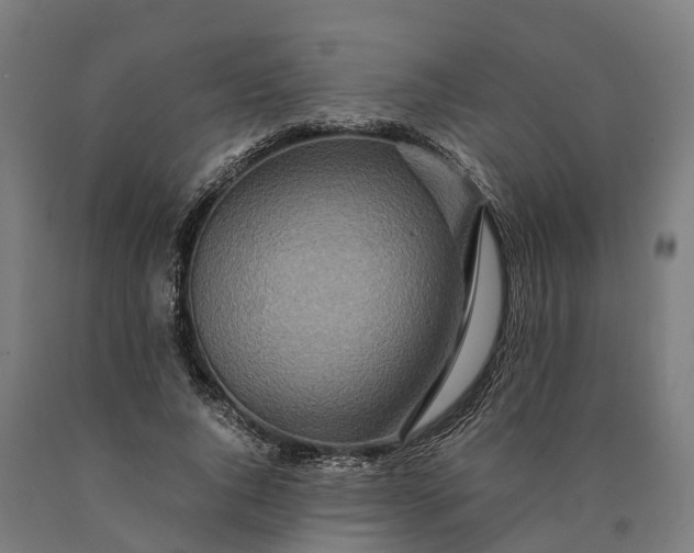 X0000090600736200707311201